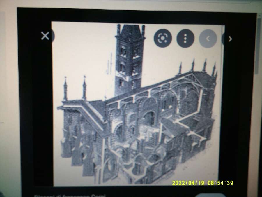 Questa immagine ha l'attributo alt vuoto; il nome del file è pianta-900.jpg